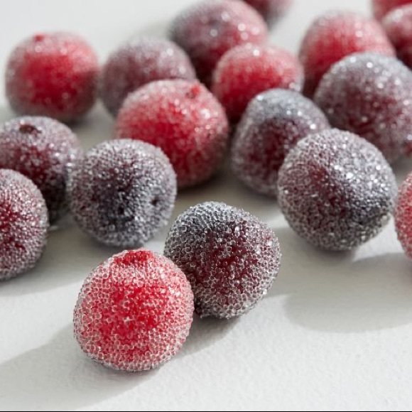 Pottery Barn Faux Sugared Cranberry Vase Filler - Picture 3 of 5